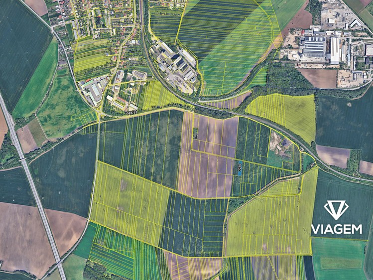 Prodej podílu 1/4  pole 692 m² - foto 4