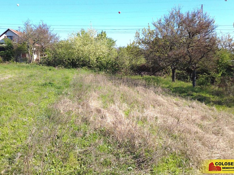 Prodej zahrady 793 m² - foto 4