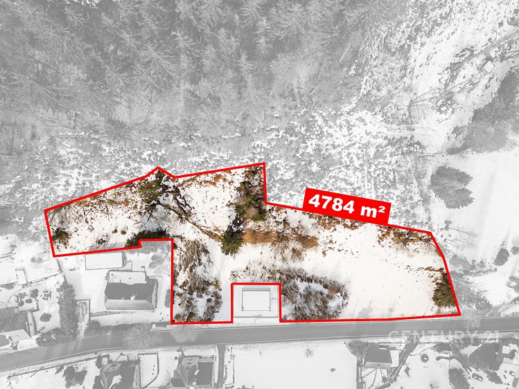 Prodej stavebního pozemku 4 784 m² - foto 3
