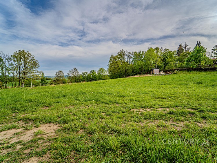 Prodej stavebního pozemku 3 010 m² - foto 2