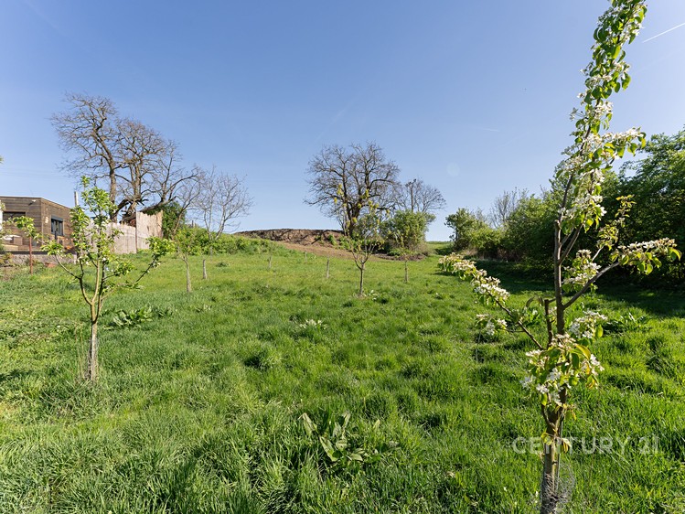 Prodej zahrady 697 m² - foto 1