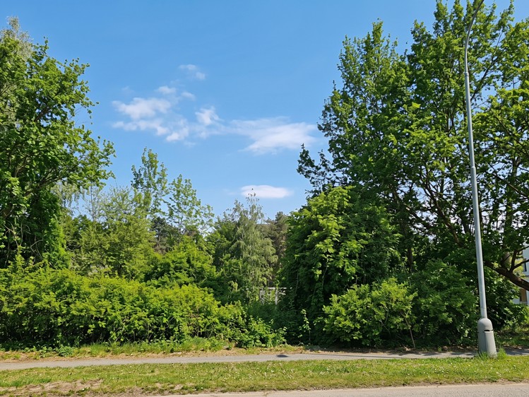 Prodej  stavebního pozemku 924 m² - foto 4