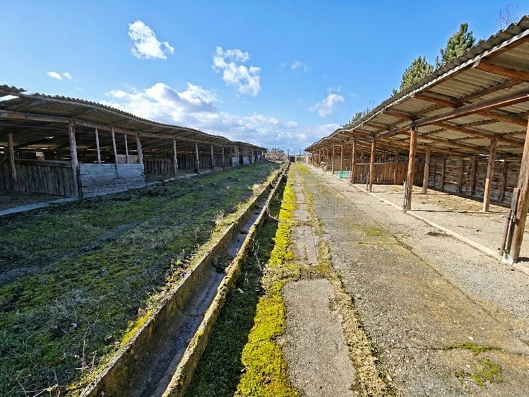 Prodej komerčního pozemku 6 493 m² - foto 7