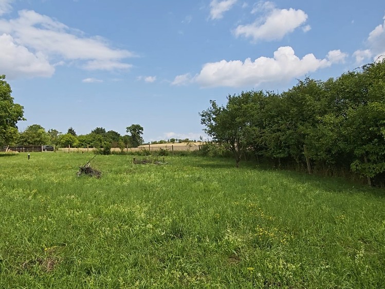 Prodej  stavebního pozemku 1 000 m² - foto 4