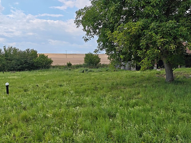 Prodej  stavebního pozemku 1 000 m² - foto 6