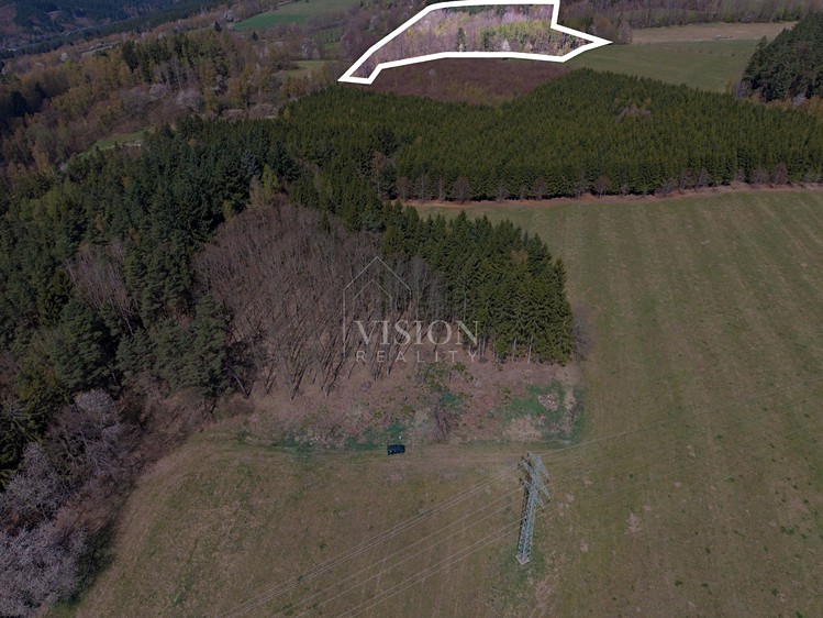Prodej lesa 50 859 m² - foto 6