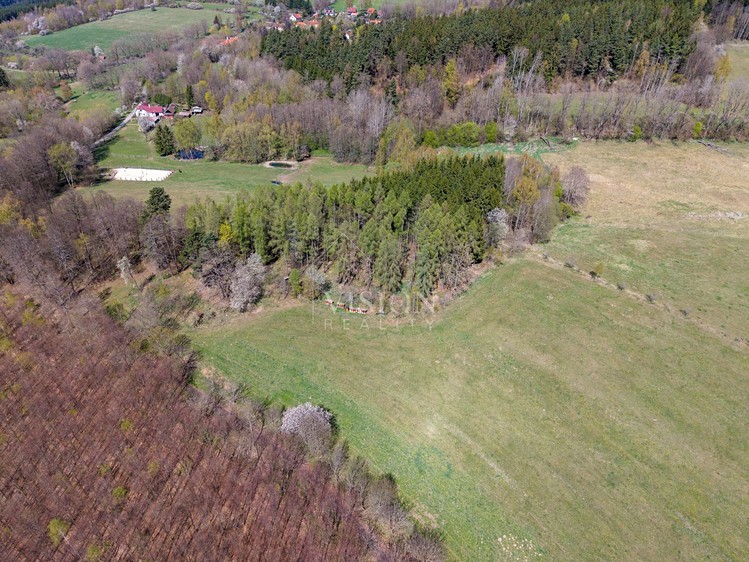 Prodej lesa 50 859 m² - foto 8