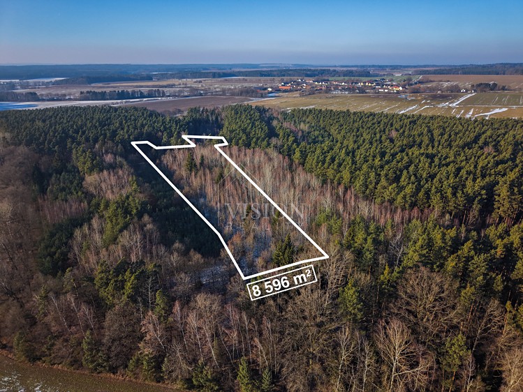 Prodej lesa 12 910 m² - foto 2