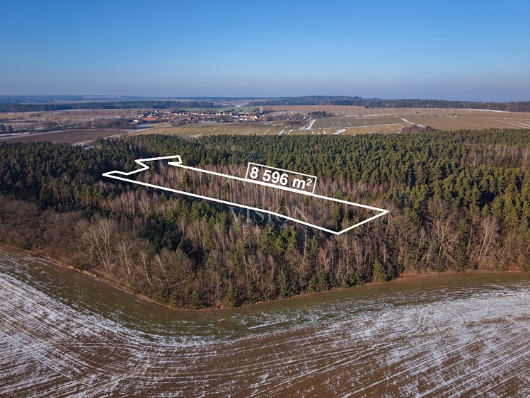 Prodej lesa 12 910 m² - foto 1