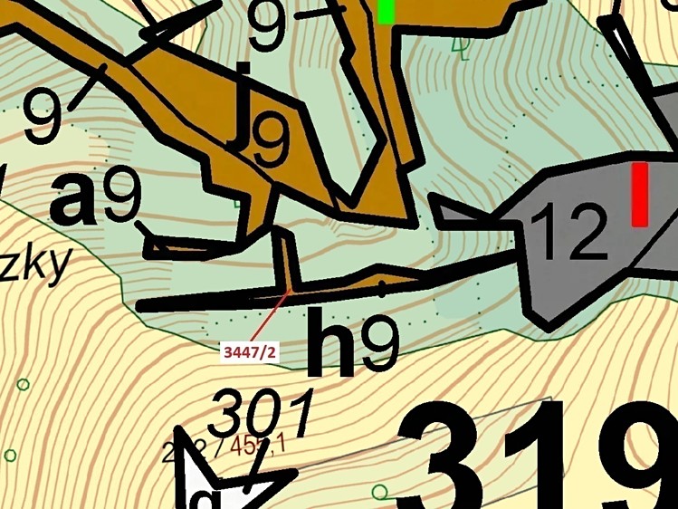 Dražba lesa 550 m² - foto 3
