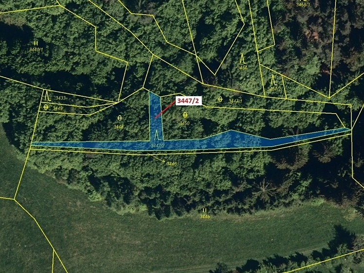 Dražba lesa 550 m² - foto 2