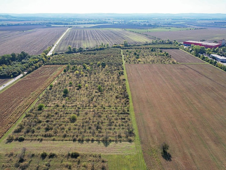 Prodej komerčního pozemku 11 182 m² - foto 5