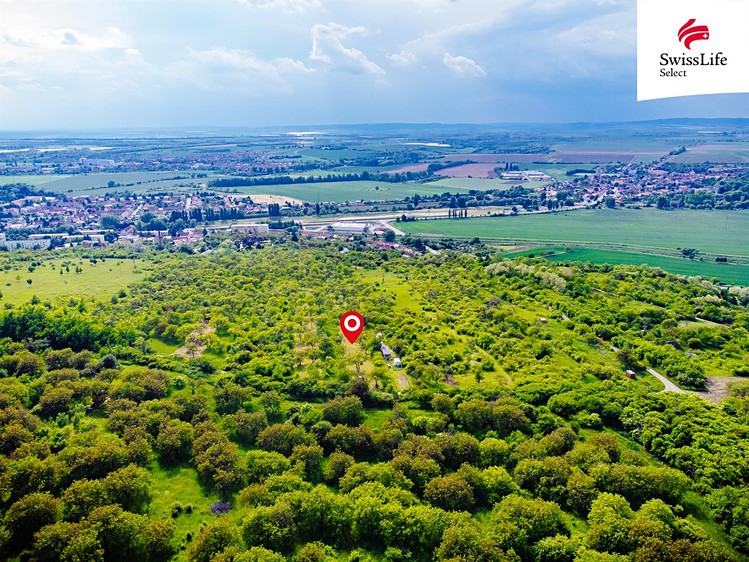 Prodej  sadu, vinice 3 876 m² - foto 6
