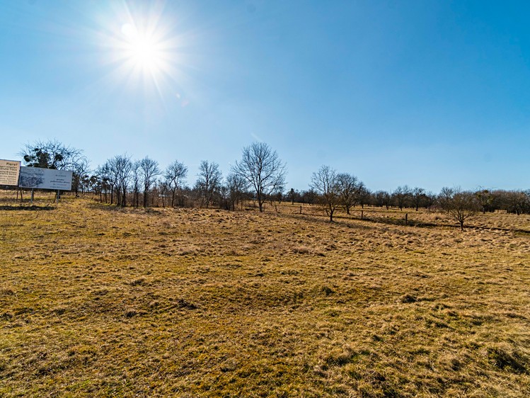 Prodej stavebního pozemku 2 603 m² - foto 4