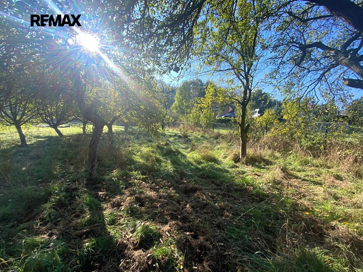Prodej zahrady 702 m² - foto 4
