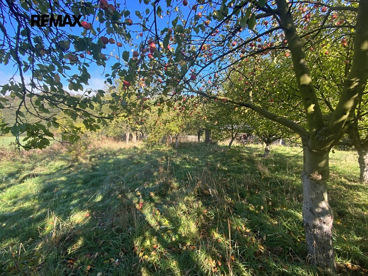 Prodej zahrady 702 m² - foto 1