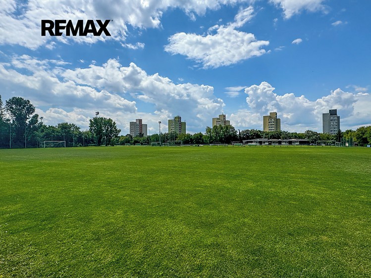 Prodej pozemku 16 531 m² - foto 7