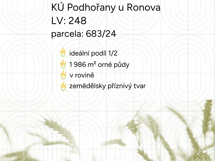 Prodej podílu 1/2 pole 1 986 m² - foto 3