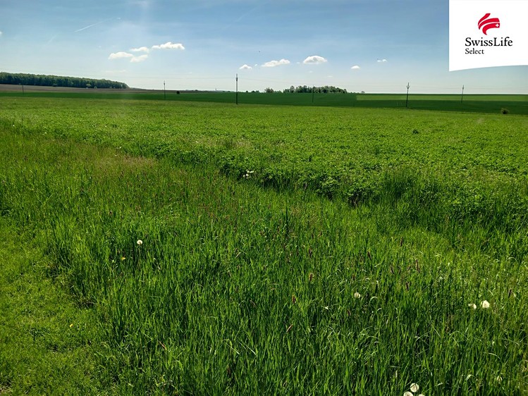 Prodej komerčního pozemku 1 053 m² - foto 3