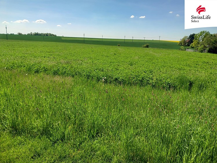 Prodej komerčního pozemku 1 053 m² - foto 5