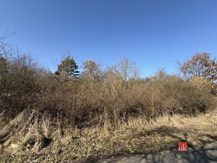 Prodej  pozemku 6 289 m² - foto 4