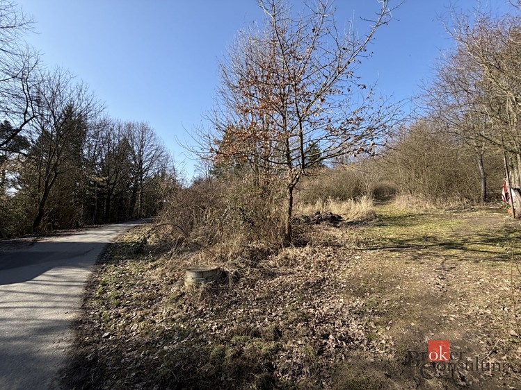 Prodej  pozemku 6 289 m² - foto 5