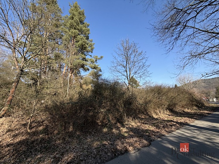 Prodej  pozemku 6 289 m² - foto 6