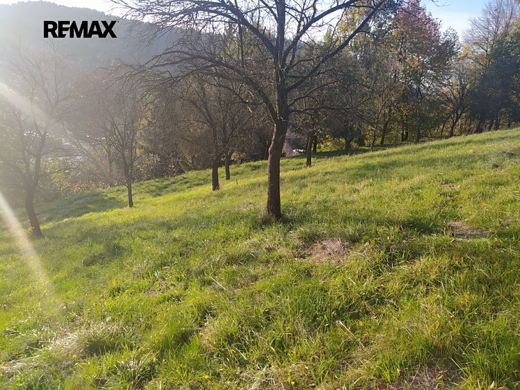 Prodej stavebního pozemku 2 994 m² - foto 4