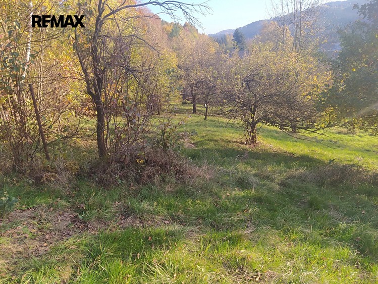 Prodej stavebního pozemku 2 994 m² - foto 1