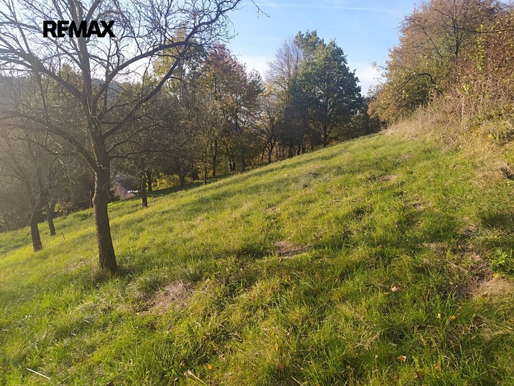 Prodej stavebního pozemku 2 994 m² - foto 2