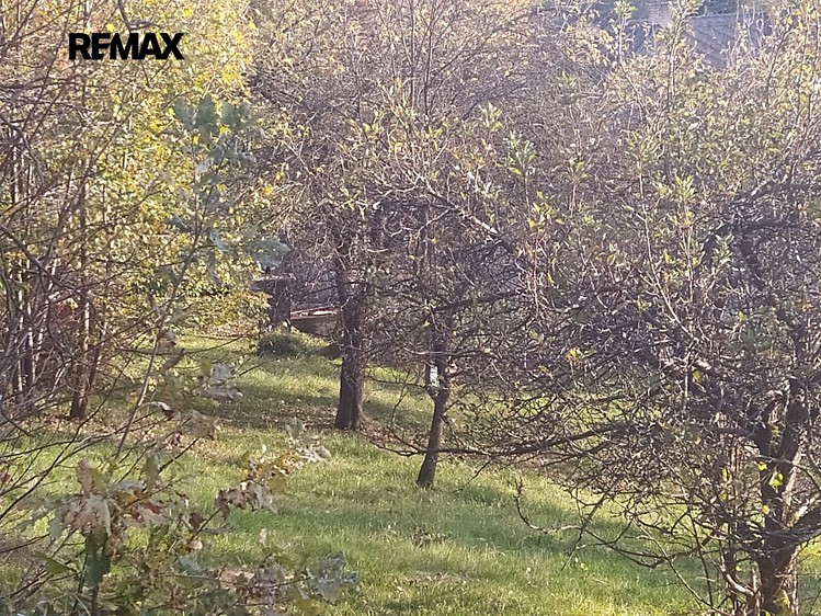 Prodej stavebního pozemku 2 994 m² - foto 5