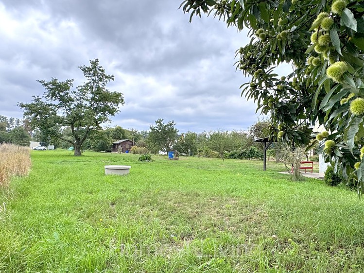Prodej zahrady 950 m² - foto 2