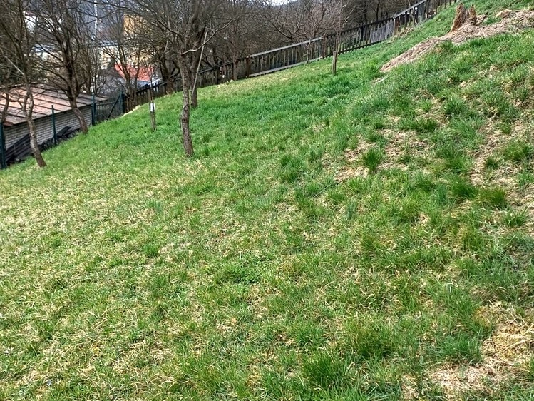 Prodej stavebního pozemku 1 260 m² - foto 4