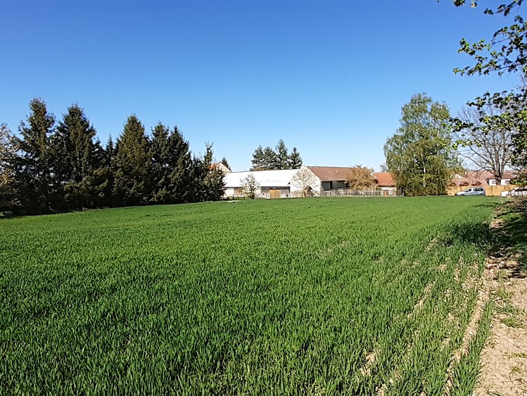 Prodej stavebního pozemku 1 153 m² - foto 1