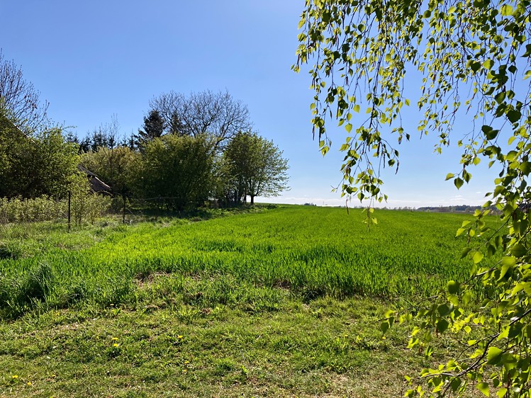 Prodej stavebního pozemku 1 153 m² - foto 6