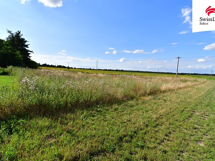 Prodej stavebního pozemku 1 899 m² - foto 3