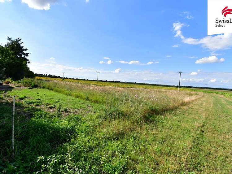 Prodej stavebního pozemku 1 899 m² - foto 1