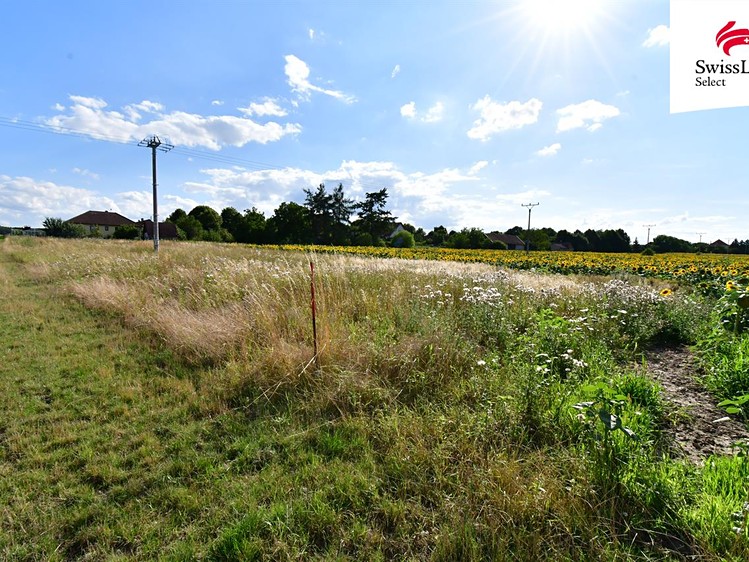 Prodej stavebního pozemku 1 899 m² - foto 4
