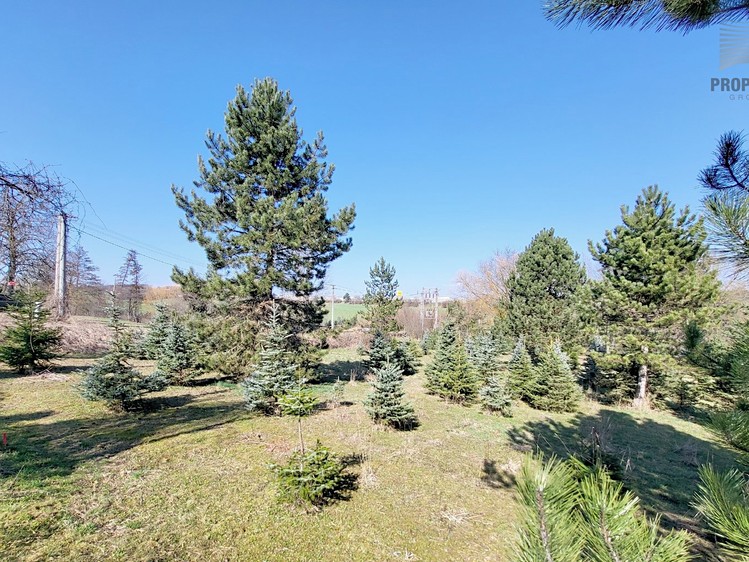 Prodej stavebního pozemku 971 m² - foto 5