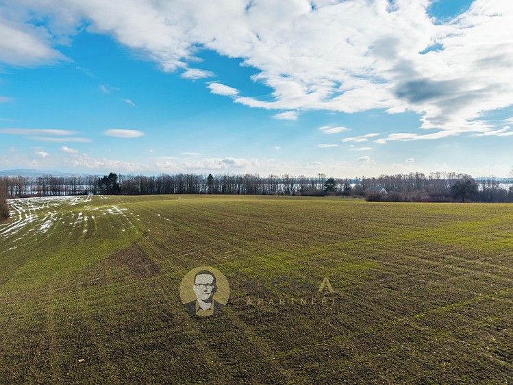 Prodej stavebního pozemku 30 928 m² - foto 5