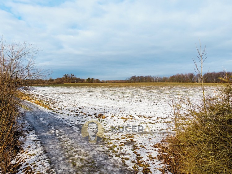 Prodej stavebního pozemku 30 928 m² - foto 7
