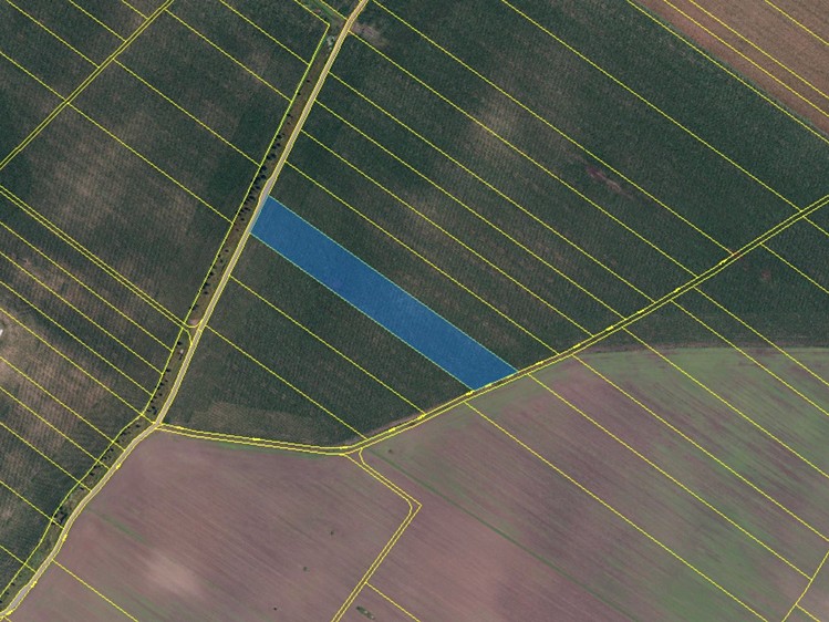 Prodej pole 75 595 m² - foto 6