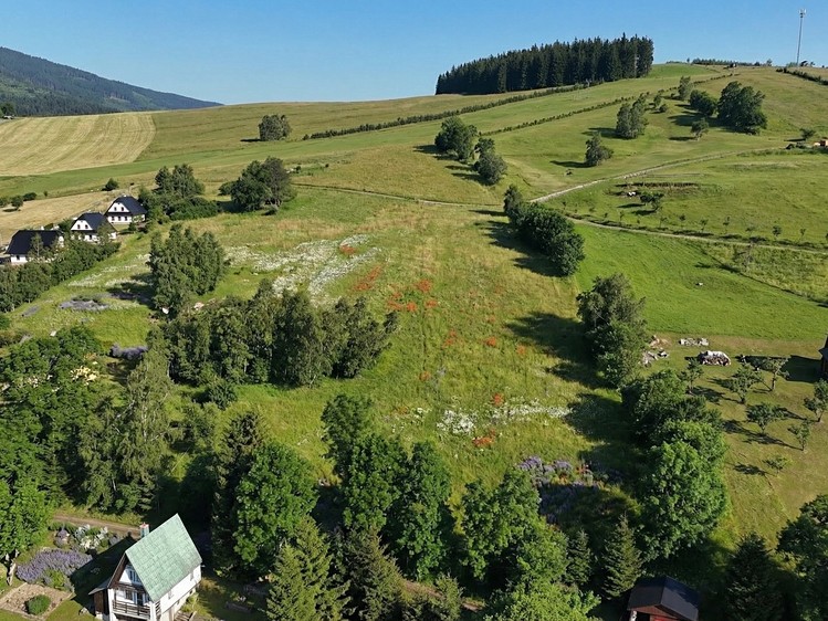 Prodej stavebního pozemku 840 m² - foto 5