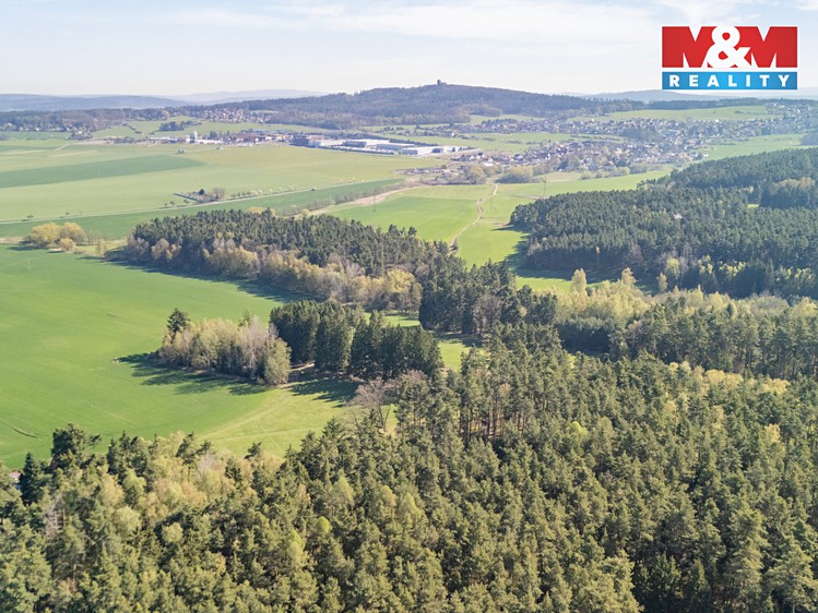 Prodej lesa 2 645 m² - foto 2