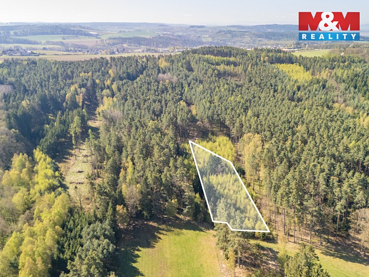 Prodej lesa 2 645 m² - foto 3