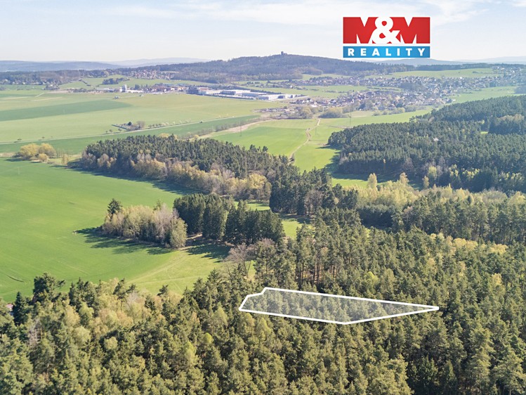 Prodej lesa 2 645 m² - foto 1
