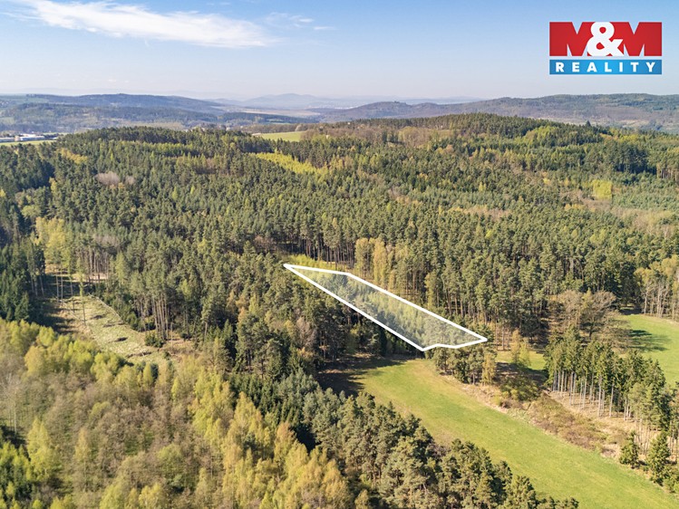 Prodej lesa 2 645 m² - foto 6