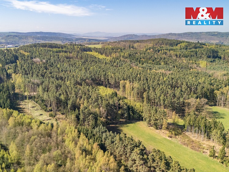 Prodej lesa 2 645 m² - foto 5