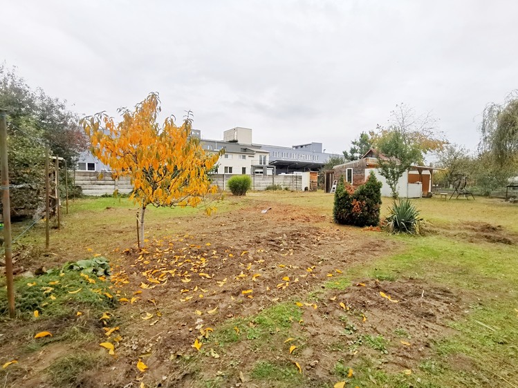 Prodej zahrady 479 m² - foto 6
