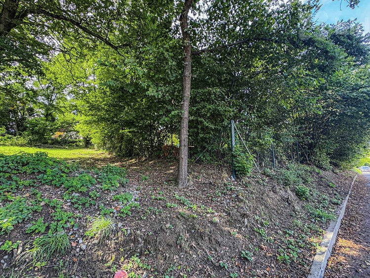 Prodej stavebního pozemku 1 600 m² - foto 6